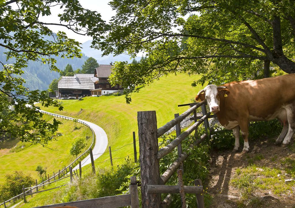 Schrunerhof Ebene Reichenau Exterior foto